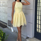 Galezzo Sleeveless Woven Mini Dress